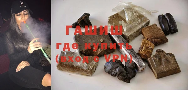 индика Нягань