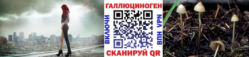 Псилоцибиновые грибы мицелий  Купить где  Кувандык 